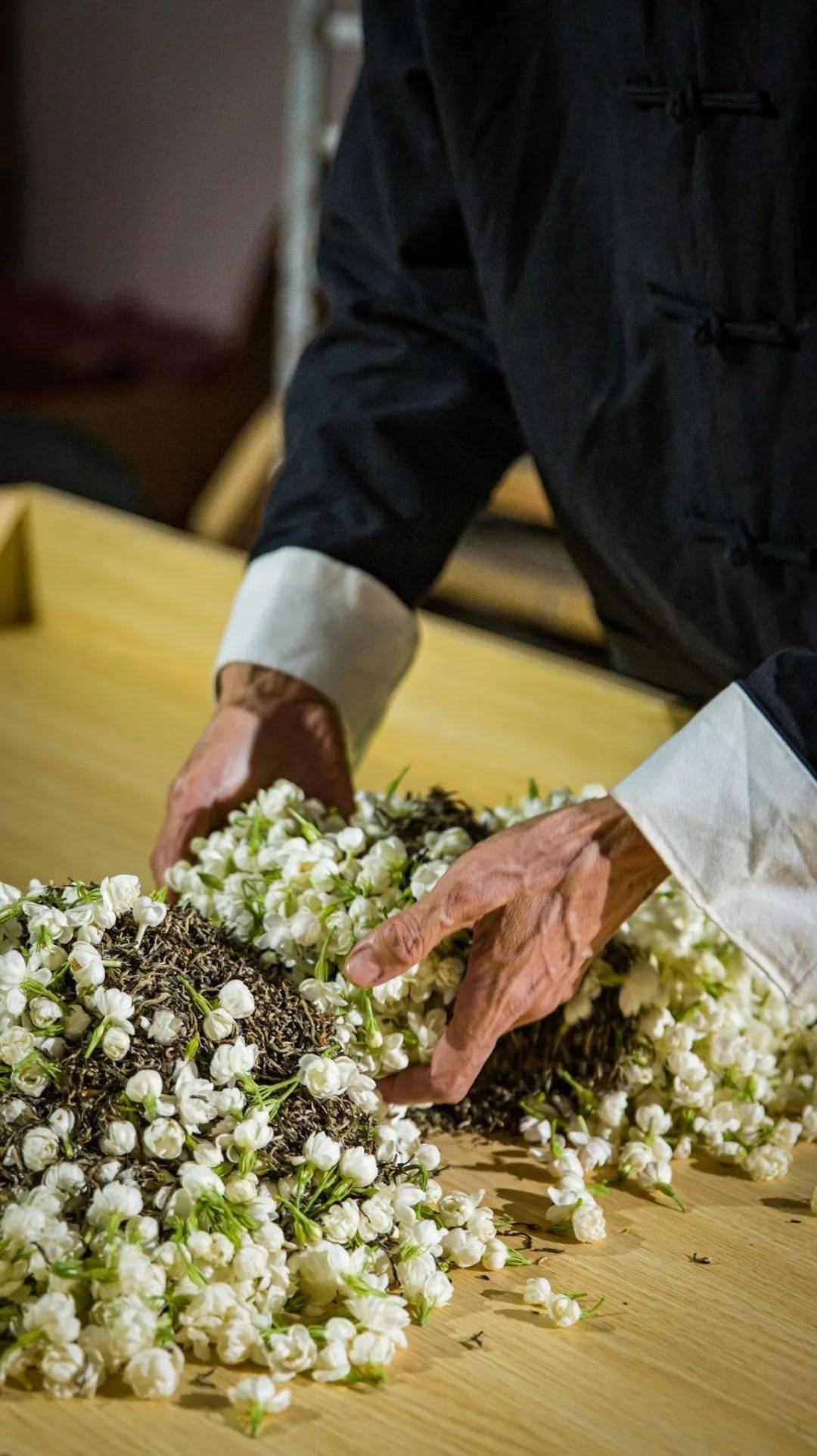 茉莉花茶窨制